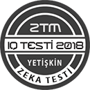 IQ Zeka Testi 2018